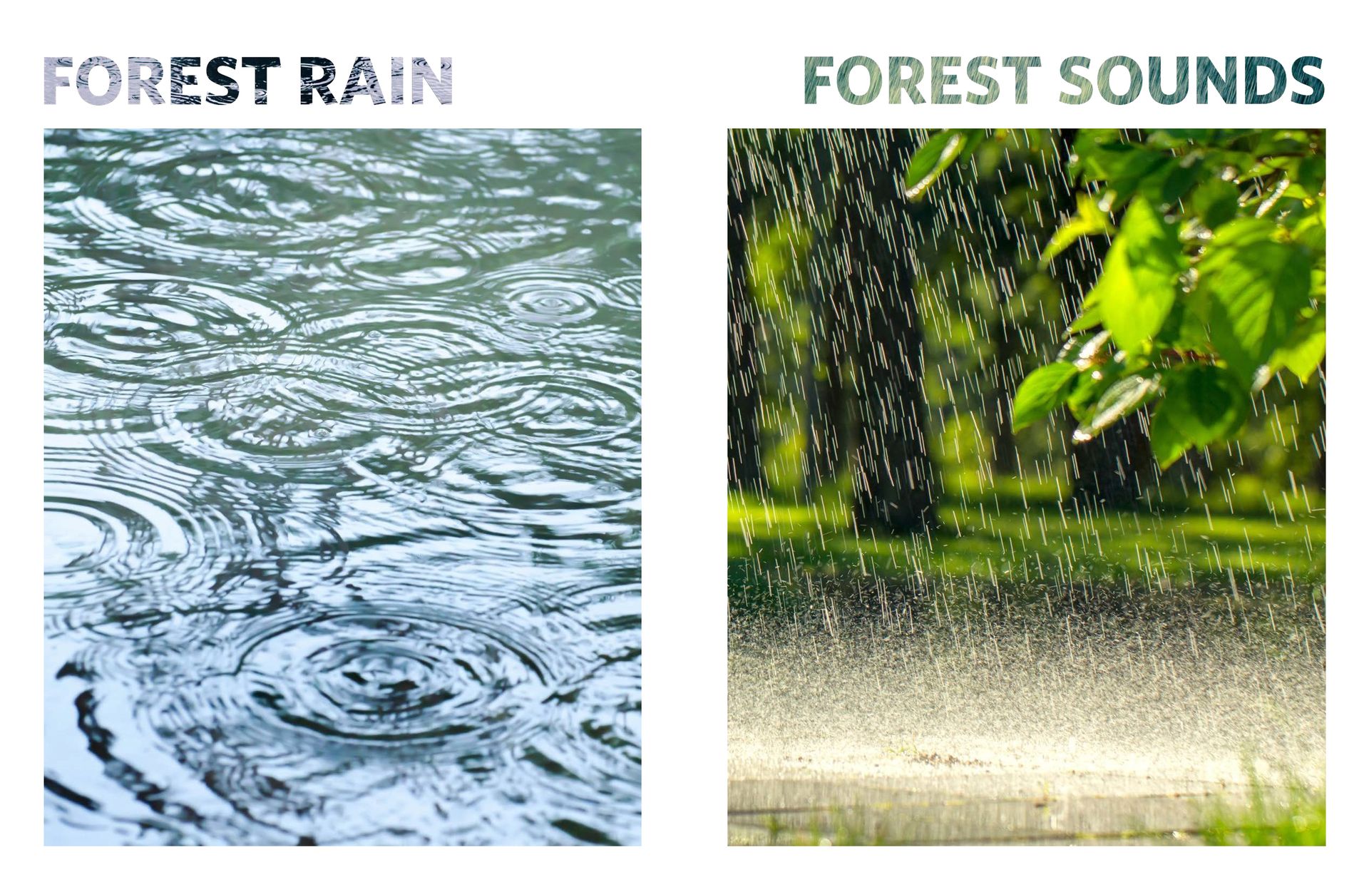 Nature Supply MILLIKEN CARPET TORNEX